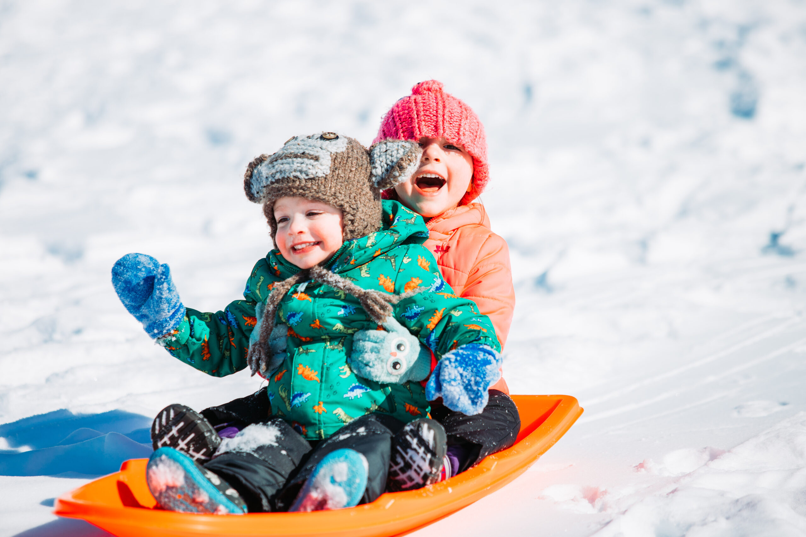 Shelby Revoy – Special Olympics Sledding 4 | Fond Du Lac Tribal ...